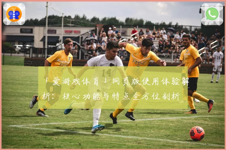 「爱游戏体育」网页版使用体验解析：核心功能与特点全方位剖析