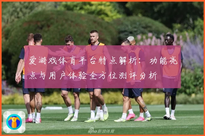 爱游戏体育平台特点解析：功能亮点与用户体验全方位测评分析
